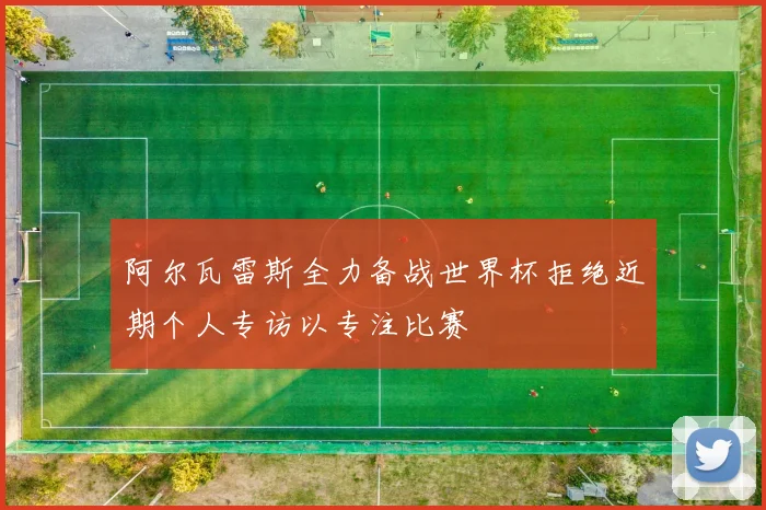 阿尔瓦雷斯全力备战世界杯拒绝近期个人专访以专注比赛