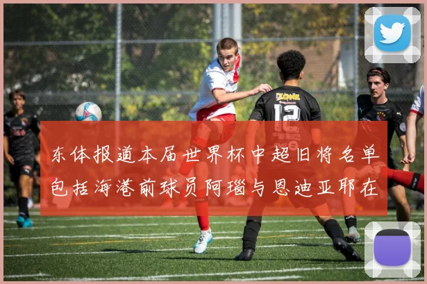 东体报道本届世界杯中超旧将名单包括海港前球员阿瑙与恩迪亚耶在内的10位球员