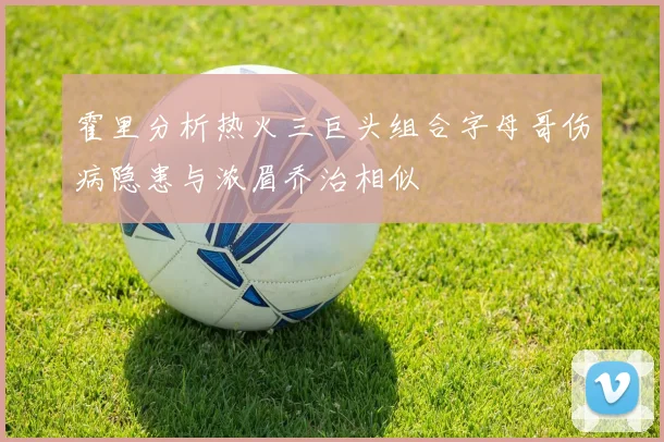 霍里分析热火三巨头组合字母哥伤病隐患与浓眉乔治相似