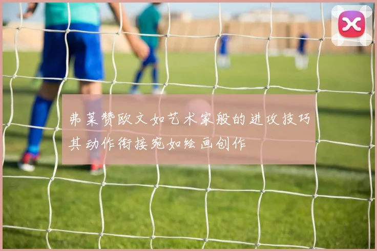 弗莱赞欧文如艺术家般的进攻技巧其动作衔接宛如绘画创作